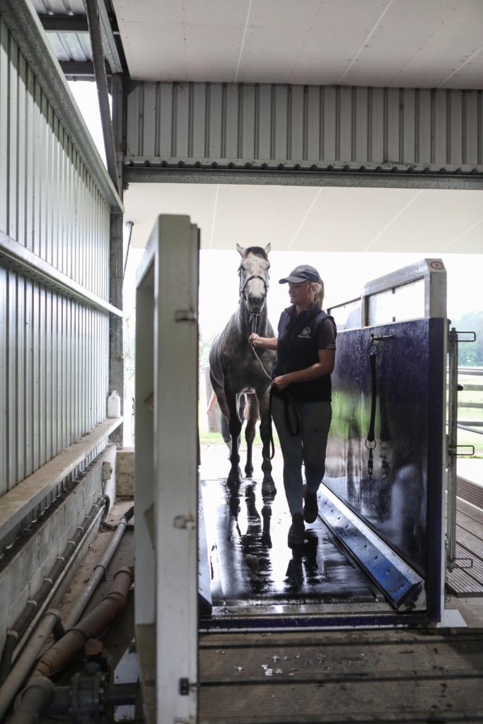 A person wearing a cap and dark clothing is leading a gray horse on a treadmill inside a stable. The area is enclosed by metal walls and there is natural light coming in through the open spaces.