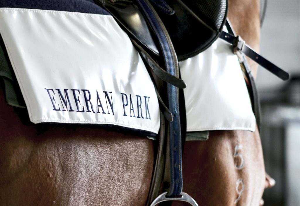 Close-up of a horse's saddle with a cover labeled "Emeran Park." The saddle straps and a portion of the horse's brown coat are visible, highlighting details of the equestrian equipment.