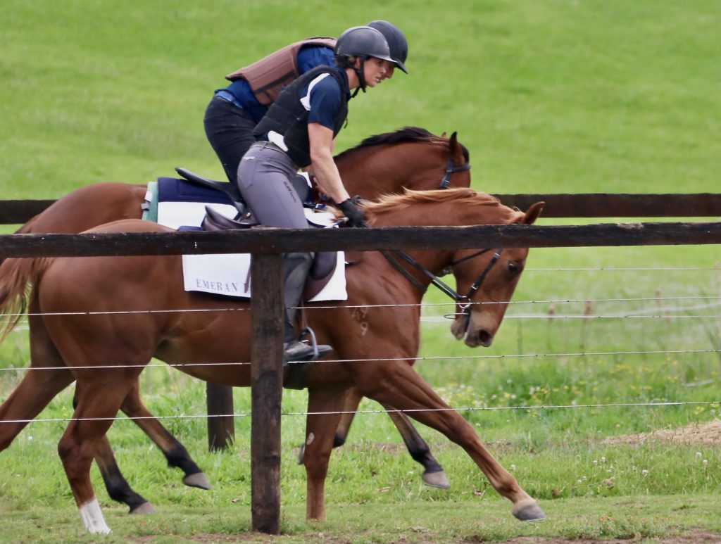 Two equestrians in helmets and riding gear are riding brown horses along a grassy field. A wooden fence runs parallel to their path. The scene is set in a lush, green environment under a clear sky.