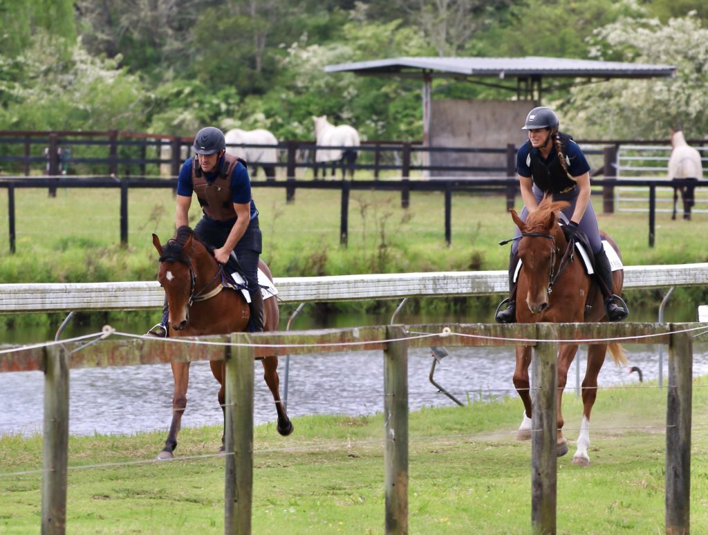 Two equestrians riding brown horses trot side by side near a fence, with grass and a small body of water in the background. Both riders wear helmets and dark attire. In the distance, white horses graze near a shelter.