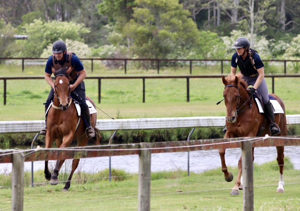 Two people in helmets and black shirts are riding brown horses on a grassy field. They are following a track marked by wooden fences, with trees and shrubs in the background. One rider is slightly ahead of the other.