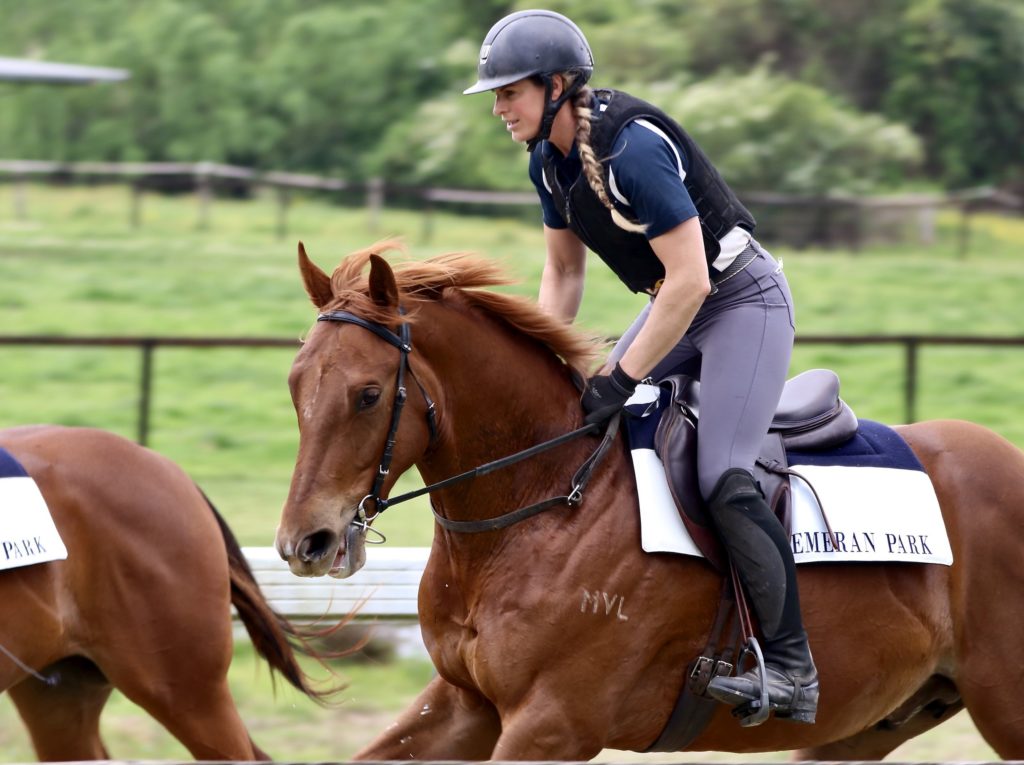 A person in equestrian gear is riding a chestnut horse in a green field. The rider wears a helmet and holds the reins, leaning forward slightly. Both the horse and rider appear focused. A fence and lush green trees are visible in the background.