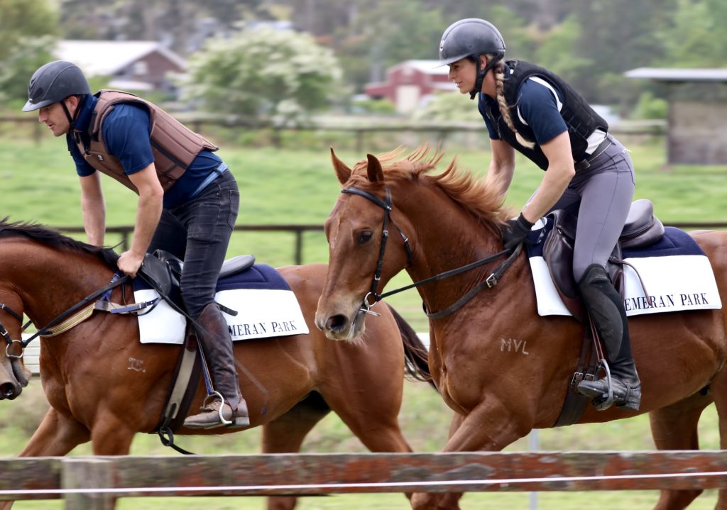 Two people ride chestnut horses side by side on a track, wearing helmets and protective vests. The background shows a green field and trees. Both horses have white saddle pads with writing on them.