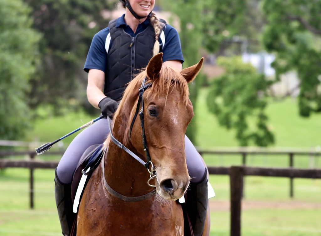 A person wearing a riding helmet and gloves is riding a brown horse in an outdoor setting with green trees in the background. The rider is dressed in a navy shirt and black vest. The horse is looking to the side.