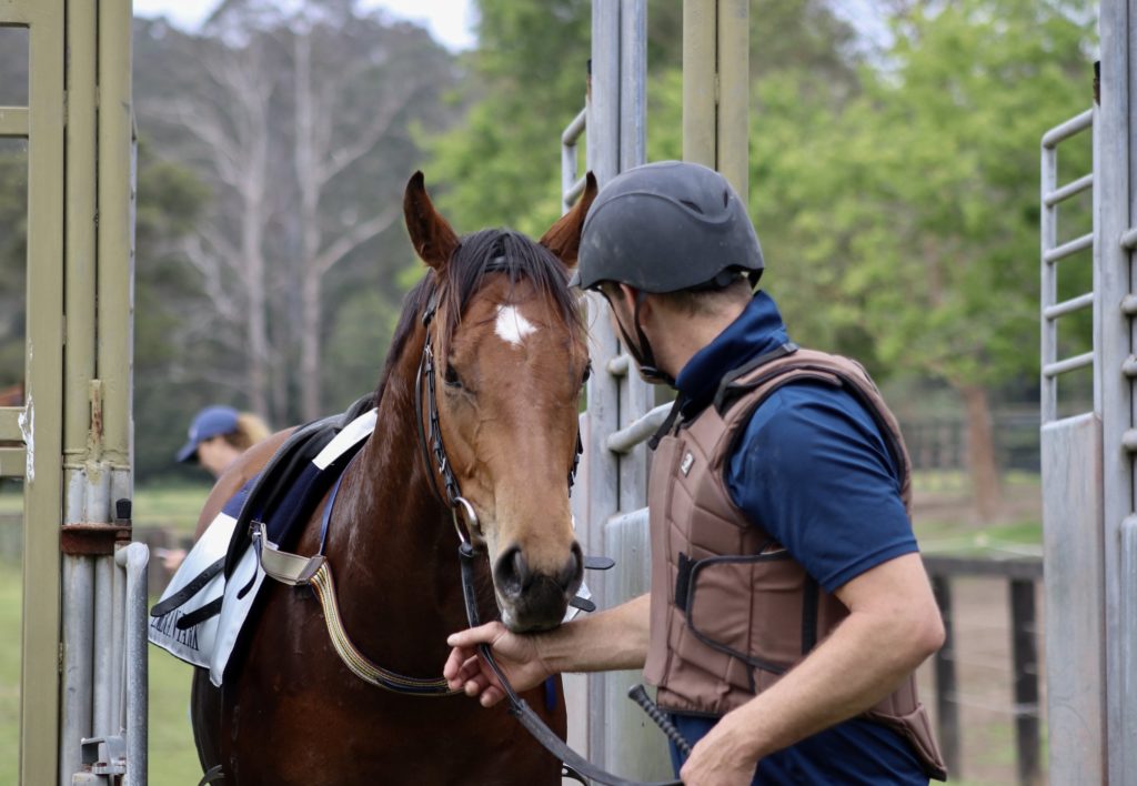 A jockey wearing a helmet and padded vest prepares a horse at the starting gate. The horse has a white star on its forehead. In the background, there's a blurred figure and greenery.