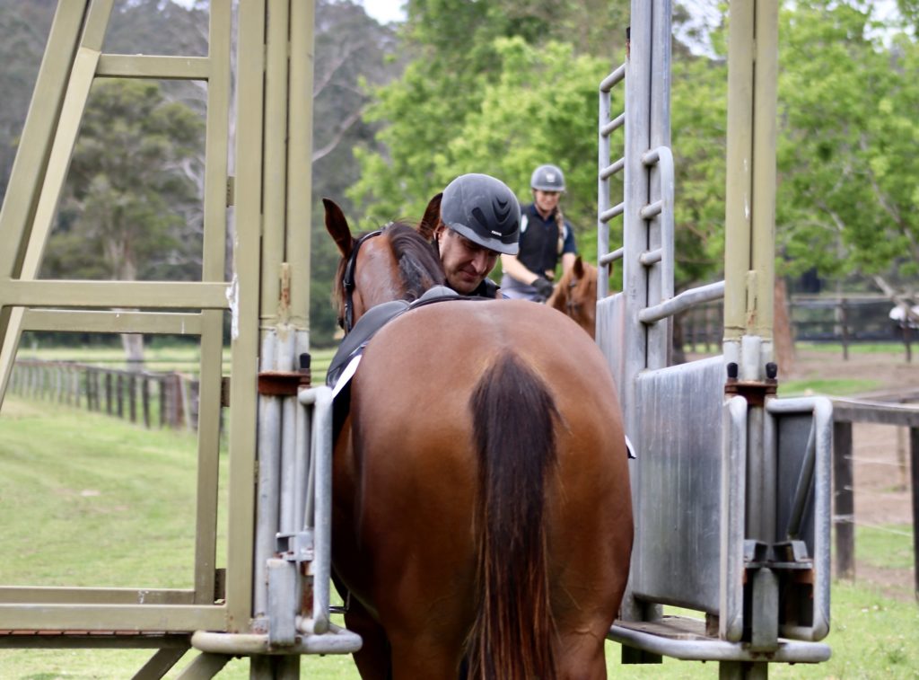 A jockey is riding a brown horse into a metallic starting gate on a grassy race track. Another rider and horse are visible in the background. Trees and fencing line the track under a cloudy sky.