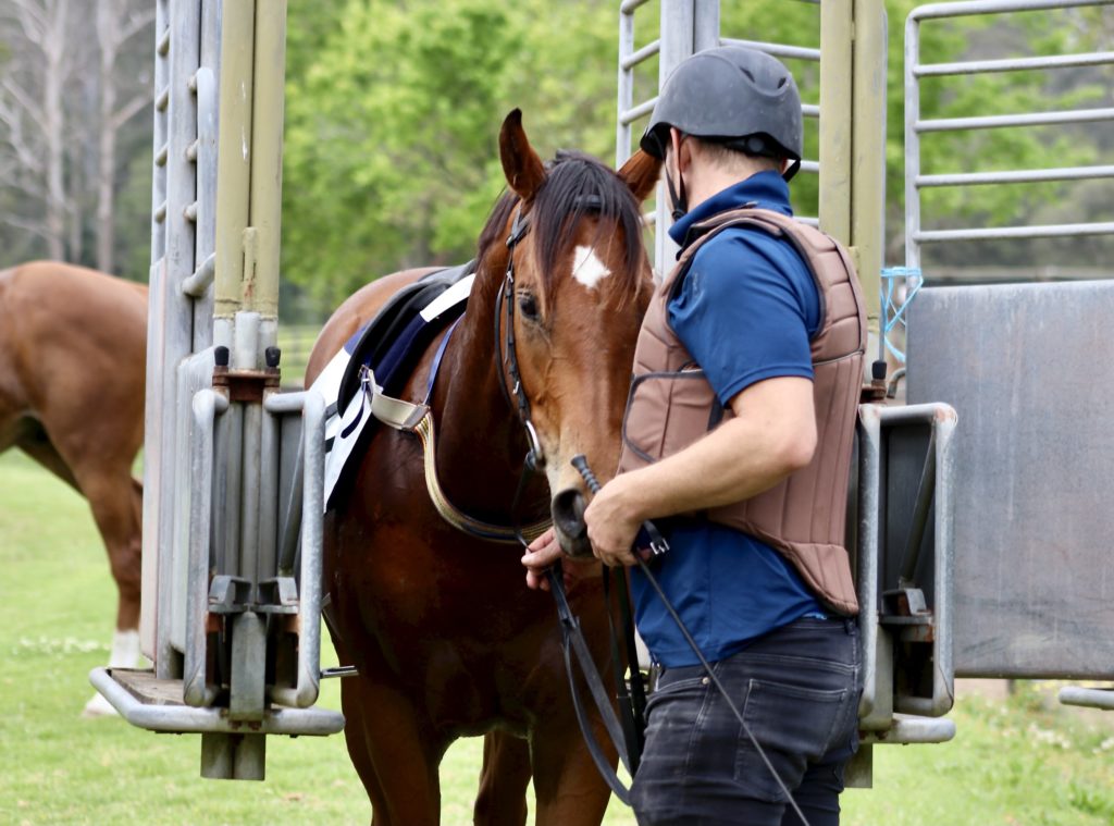 A jockey in safety gear guides a brown horse into a starting gate on a grassy field. Another horse stands nearby, partially visible. Lush green trees are in the background.