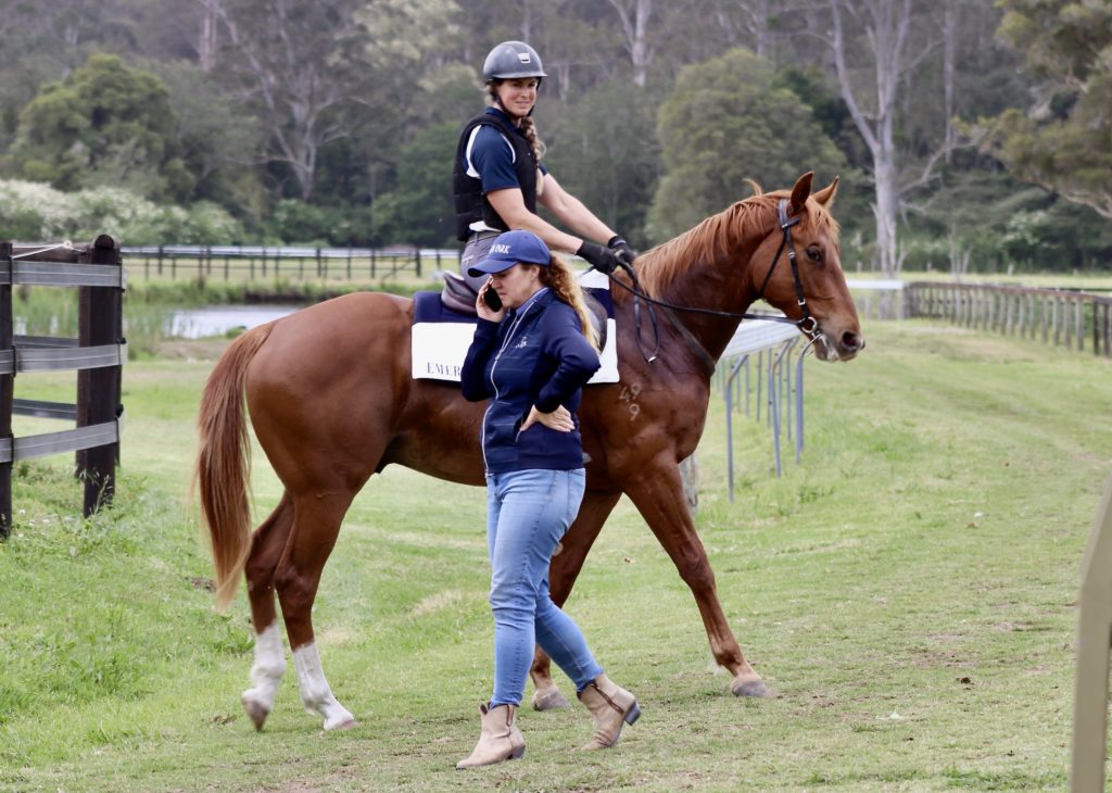 A person in a helmet rides a chestnut horse while another person walks beside them, talking on a phone. The scene is set in a grassy field with wooden fencing and trees in the background.