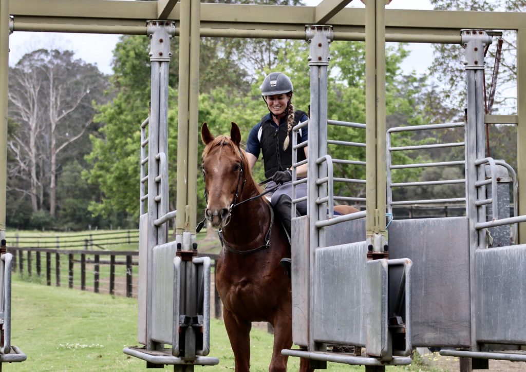 A person wearing a helmet and protective vest sits on a brown horse in a starting gate at a racetrack. The gate is open, and there's a grassy field with trees and fences in the background. The person is smiling.