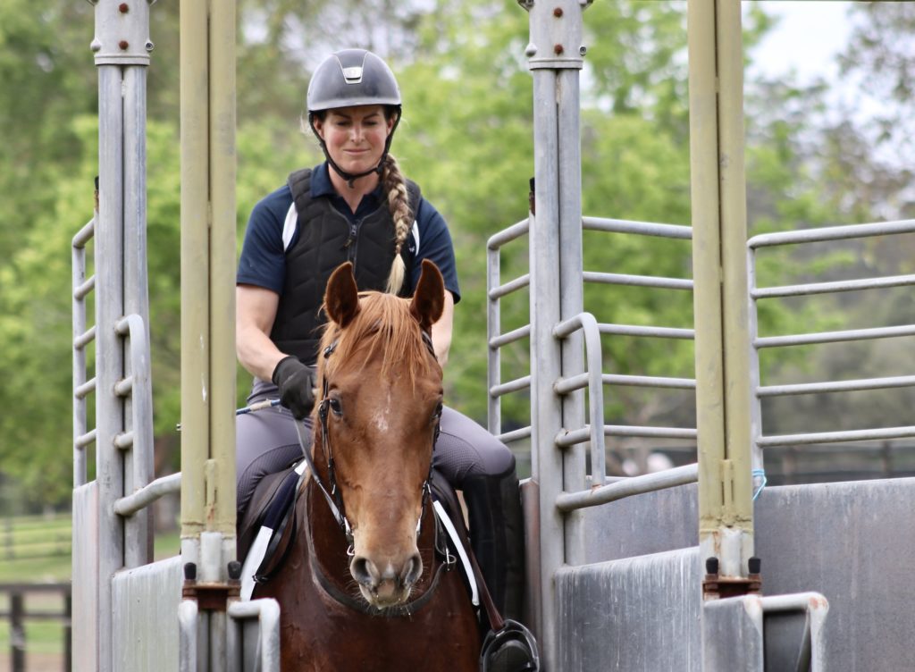 A person wearing a helmet and safety vest rides a brown horse through a starting gate. They are outdoors, with green trees in the background.