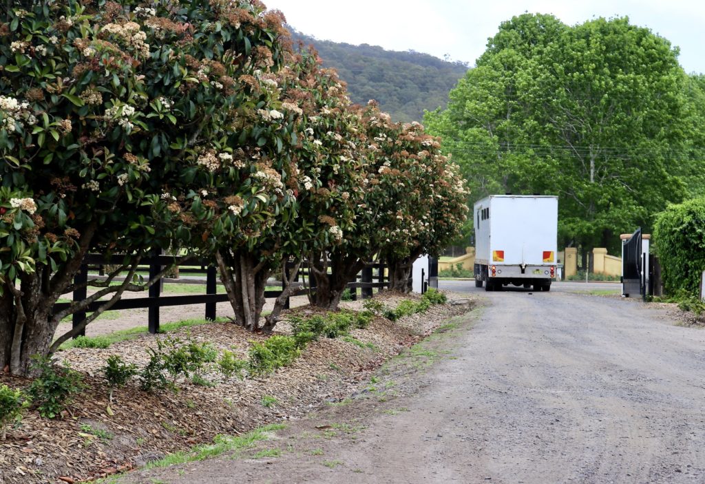 A truck drives along a gravel road lined with flowering trees and shrubs. A black wooden fence runs alongside, and a lush, green hillside is visible in the background under a cloudy sky.