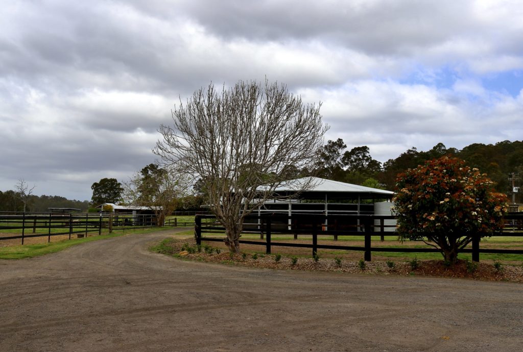 A rural scene with a dirt road curving left, bordered by black fences. Leafless tree and bush with flowers in the foreground. To the right, a silver-roofed barn. Cloudy sky and green fields surround the area.