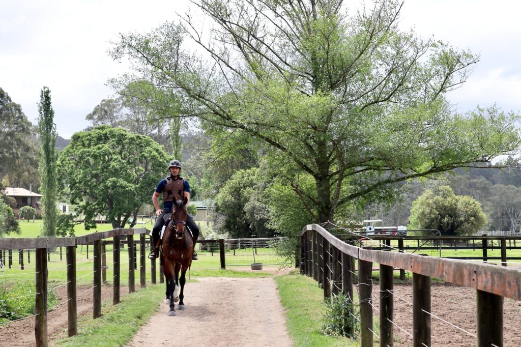A person is riding a horse down a dirt path flanked by wooden fences. Lush green trees are on either side, and houses can be seen in the distance. The scene is set in a rural area under a cloudy sky.