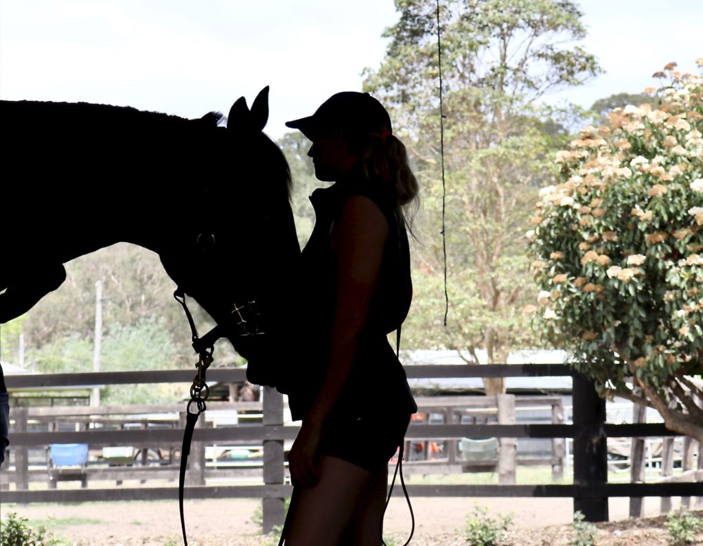 Silhouette of a person wearing a cap, standing close to a horse, in an outdoor setting. They are near a fence with trees and foliage in the background, creating a peaceful and natural atmosphere.