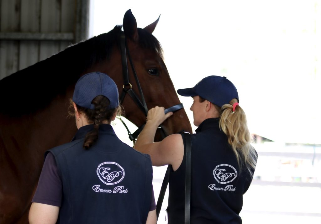 Two people in blue uniforms are tending to a brown horse in a stable. One person holds the horse's bridle, while the other checks the horse's mouth. Both wear caps and uniforms with a white logo and "Emerson Park" text on the back.