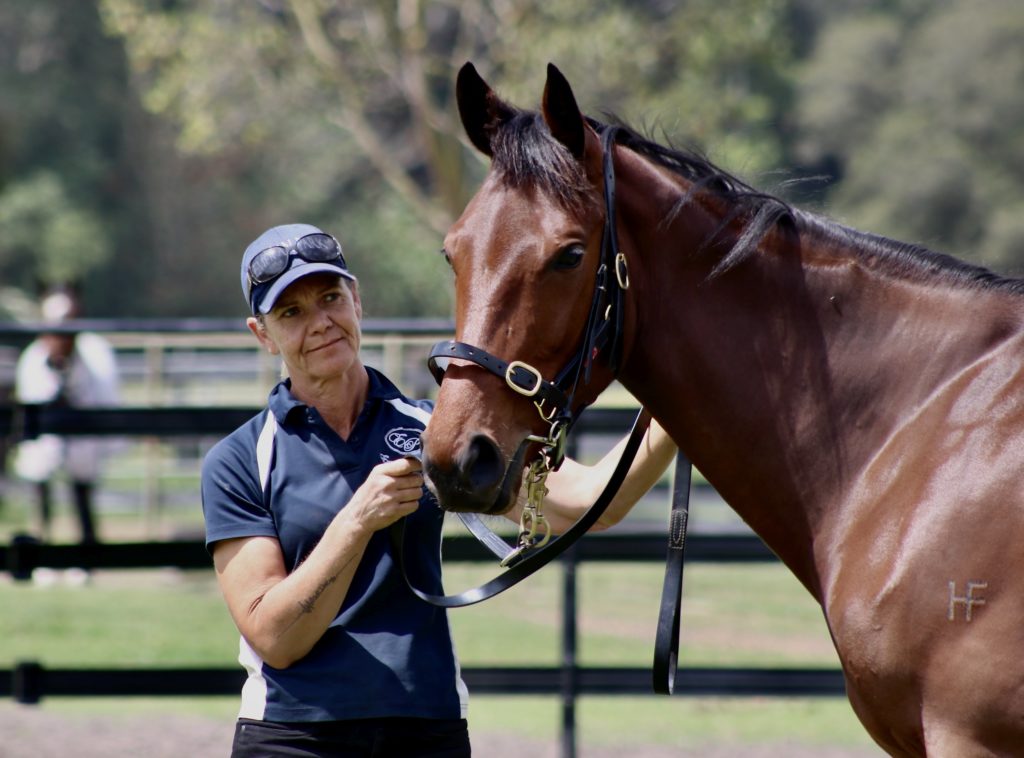 A person wearing a blue and white polo shirt and a blue cap stands next to a brown horse, holding its bridle. The background features a fenced area with trees. The setting appears to be a sunny day.