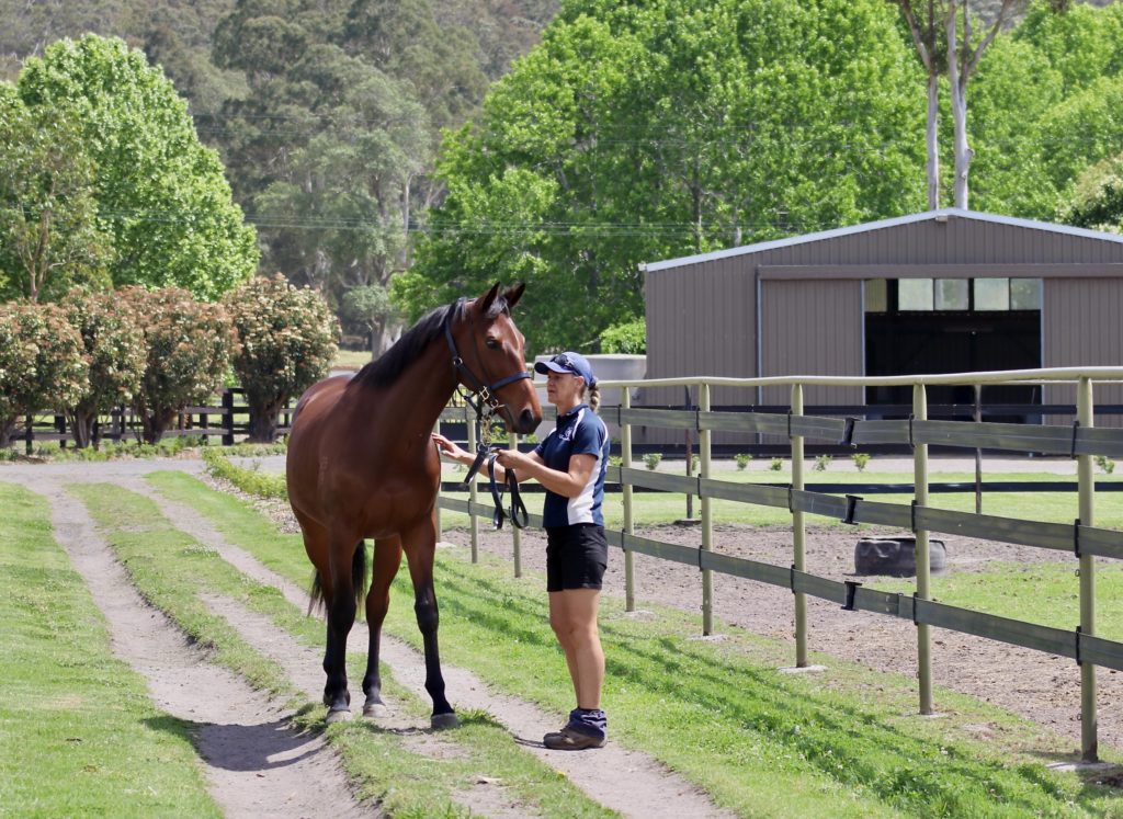 A person stands on a dirt path beside a brown horse, holding its bridle. The setting is a green rural area with trees, a fenced field, and a large barn in the background. The person is dressed casually and appears to be engaged with the horse.
