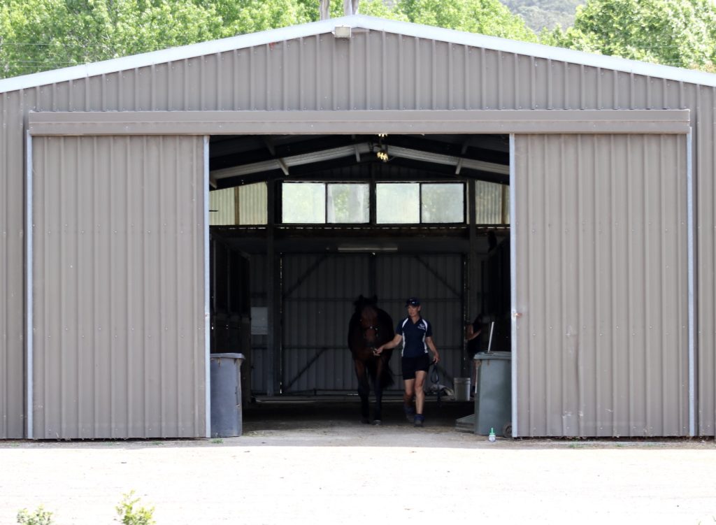 A person leading a horse out of a large, open-sided barn with corrugated metal siding. There are two large plastic containers on either side of the barn entrance and trees in the background.