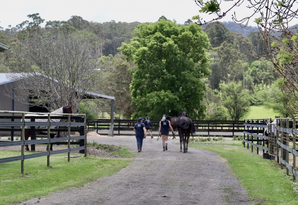 Two people walk a horse down a rural dirt path, lined with wooden fences and green grass. A horse stands by a barn on the left, and trees frame the background under a cloudy sky.