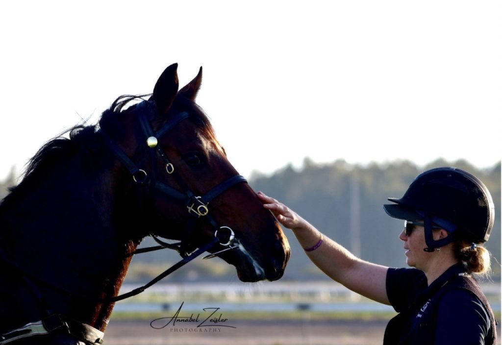 A person wearing a helmet gently pats a brown horse on its face. The horse is bridled, and both are in an outdoor setting with blurred greenery in the background.