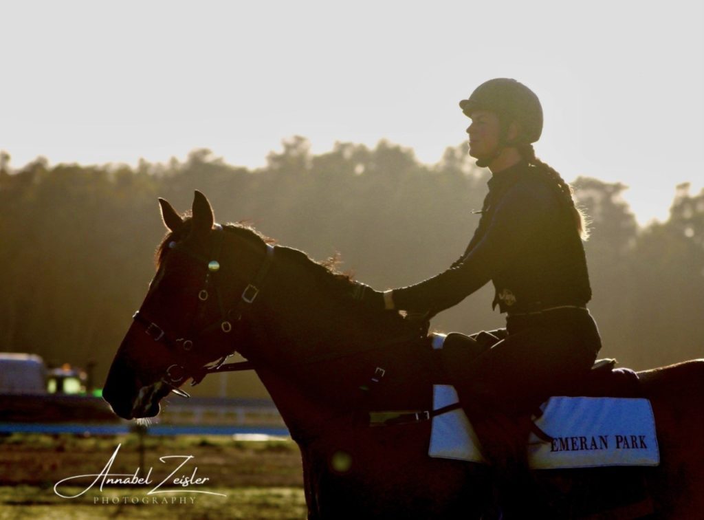 Silhouetted image of a person riding a horse in a grassy field during sunrise or sunset. The rider wears a helmet and equestrian attire. Trees line the horizon in the background.