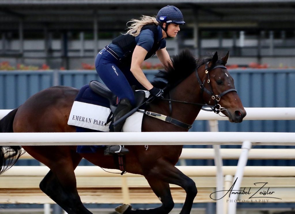 A person wearing a helmet and blue riding attire is riding a dark brown horse on a racetrack. The scene is dynamic, showcasing the horse in motion. In the background, there are railings and a blue structure.
