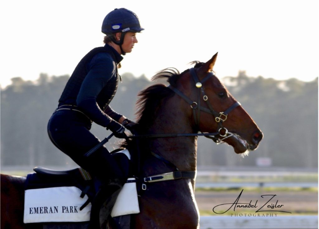 A person in equestrian gear rides a brown horse at a horse park. The rider wears a helmet and dark clothing. The horse has a white saddlecloth labeled "Emeran Park." A blurred landscape is visible in the background.